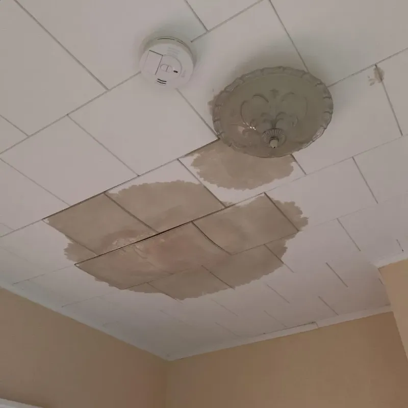 Ceiling Water Damage Repair in Hamilton County, IA