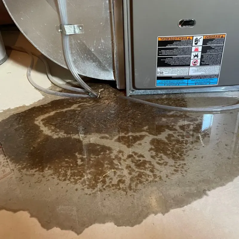 Pipe Burst and Leak Restoration in Hamilton County, IA