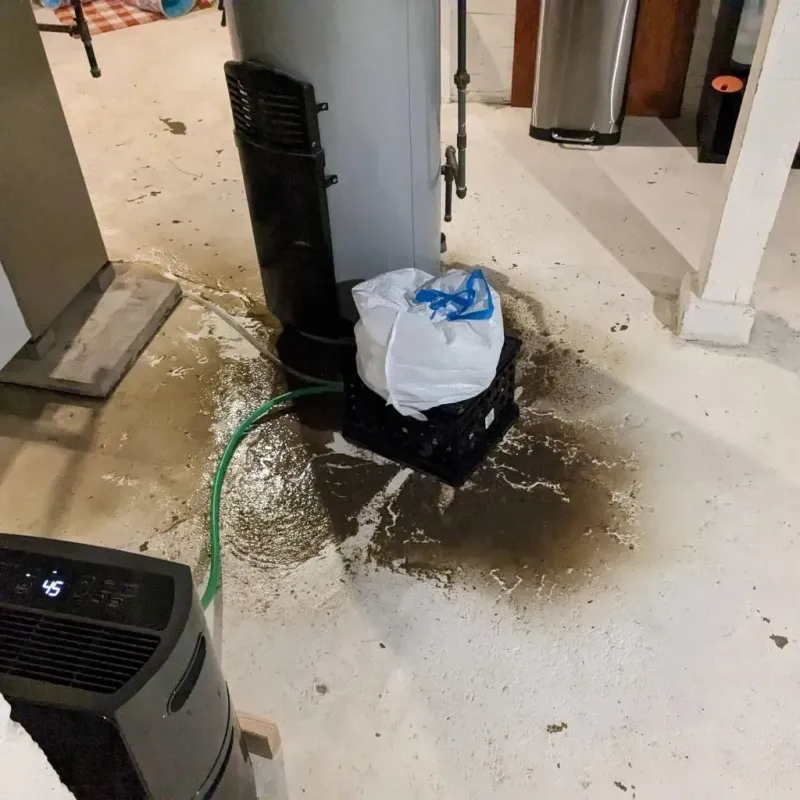 Sewage Backup Cleanup Service in Hamilton County, IA